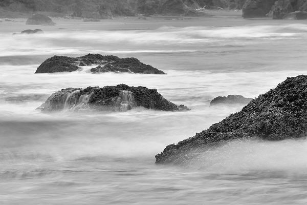 Jones, Adam 아티스트의 Waves crashing on rocks-Bandon Beach-Oregon작품입니다.